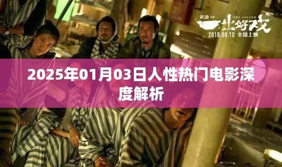 人性探索，深度解析一部熱門電影