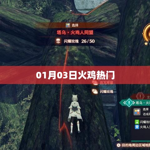 火雞熱門風(fēng)潮，揭秘背后的故事