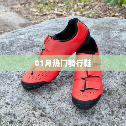 熱門(mén)騎行鞋大盤(pán)點(diǎn)，一月選購(gòu)指南