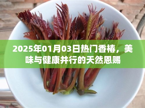 香椿盛宴，美味與健康并行的天然恩賜（2025年）