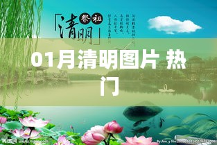 01月清明圖片，精選熱門美圖欣賞