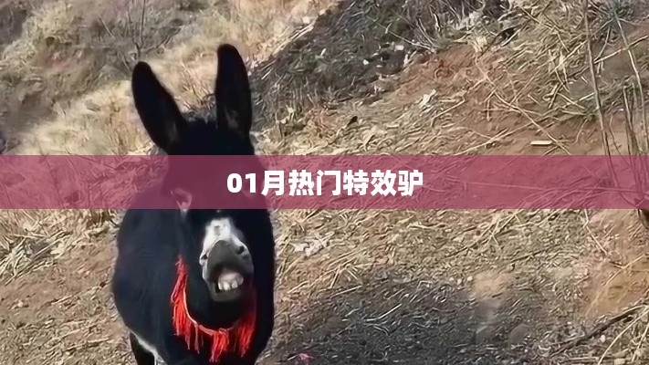 特效驢，揭秘一月熱門潮流元素！