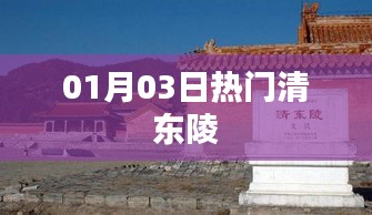 清東陵熱門(mén)事件 01月03日揭秘