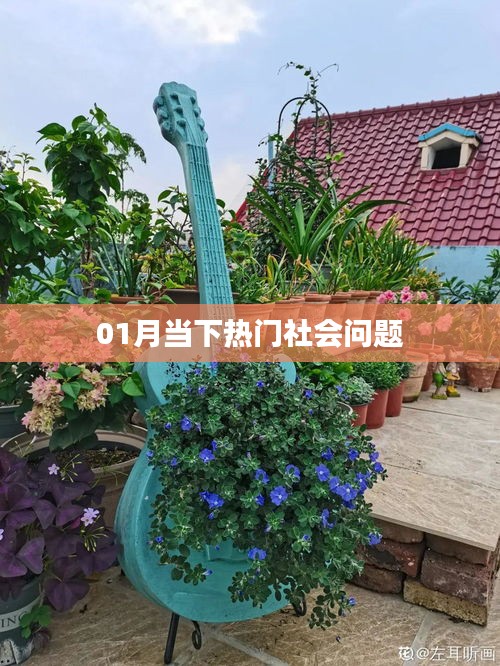 當(dāng)下熱門社會問題解析