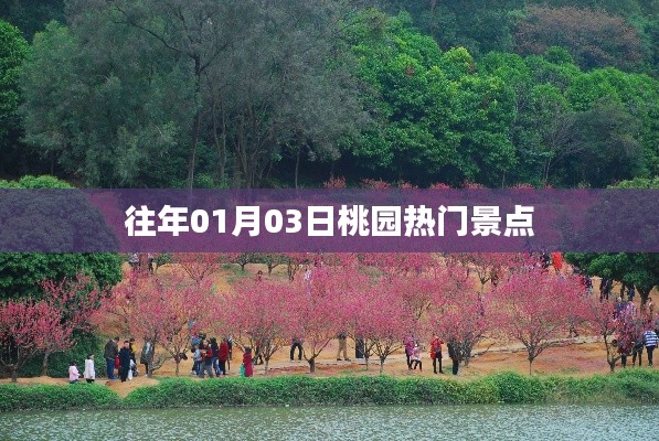 桃園景點(diǎn)歷年元旦人氣攻略