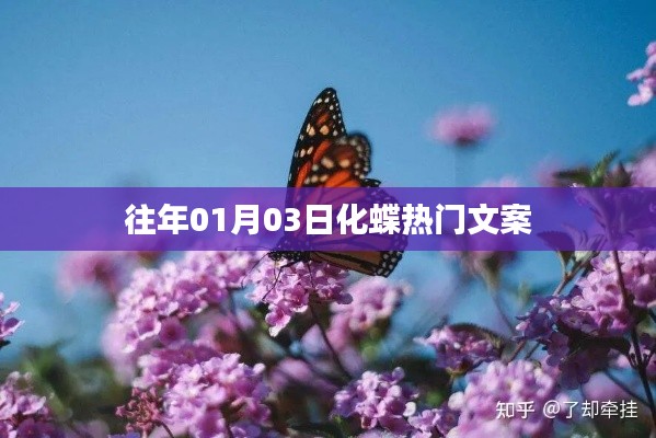 化蝶熱門文案大揭秘，歷年一月初的驚喜瞬間