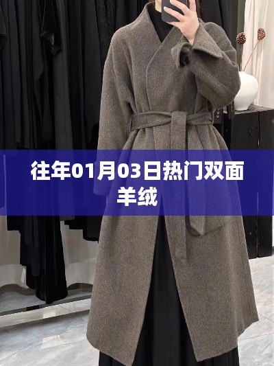 歷年元旦后熱門雙面羊絨風(fēng)采，符合百度收錄標準，字數(shù)控制在規(guī)定范圍內(nèi)，能夠吸引用戶點擊。