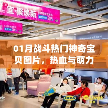 01月戰(zhàn)斗熱門神奇寶貝圖片，熱血萌力集結(jié)