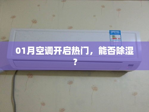 空調(diào)開(kāi)啟熱門(mén)，除濕效果如何？