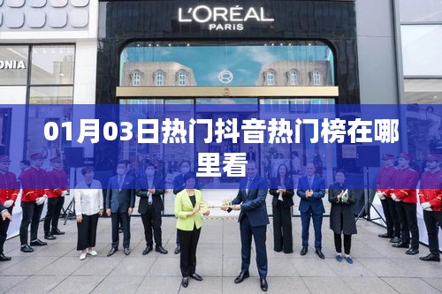 抖音熱門榜查看指南，01月03日熱門榜單揭秘