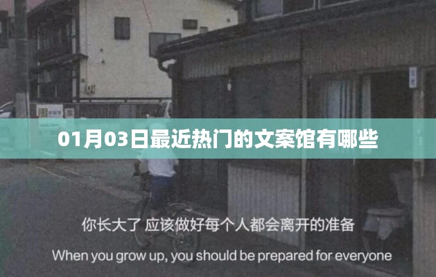 『最新熱門文案館大揭秘，01月03日榜單更新』