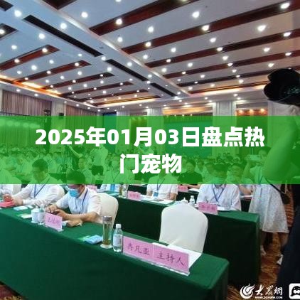 寵物市場盤點，熱門寵物趨勢展望（附日期）