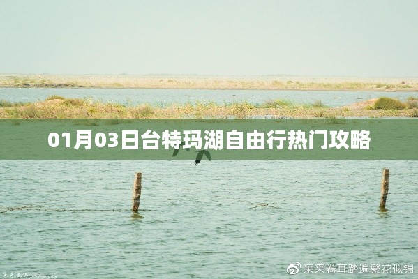 臺(tái)特瑪湖自由行指南，熱門攻略一網(wǎng)打盡