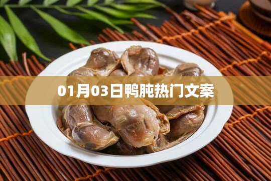 鴨肫熱門文案大揭秘，精選內(nèi)容，不容錯(cuò)過！