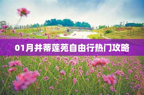 并蒂蓮苑自由行指南，熱門攻略一網打盡！