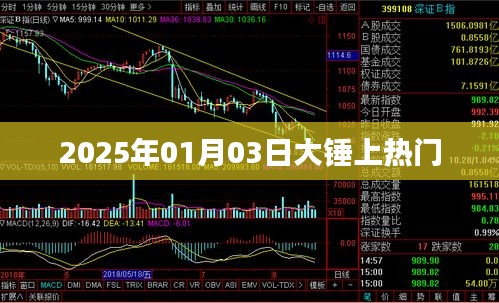 大錘引爆全網(wǎng)熱議，2025年1月3日熱門時刻