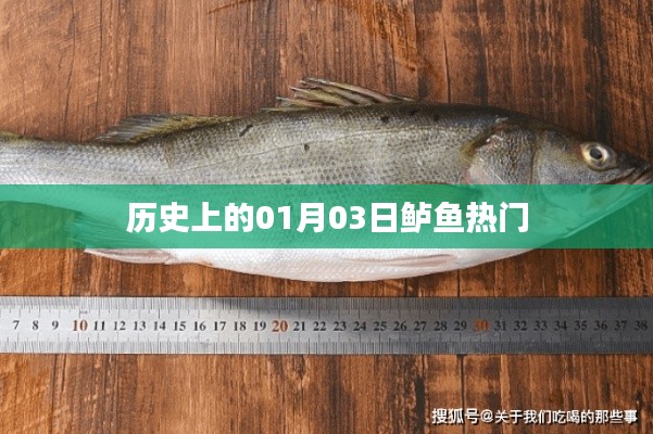 歷史上的鱸魚盛事，一月三日回顧