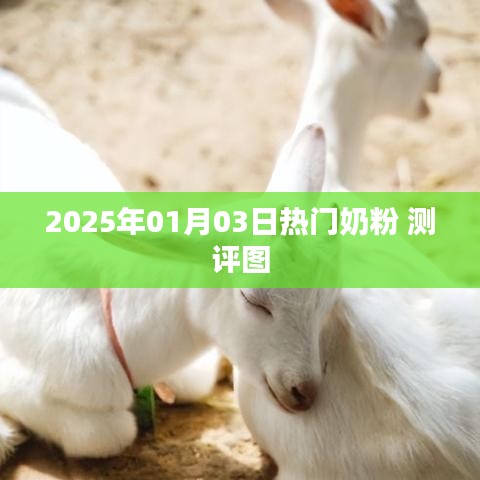 2025年熱門奶粉測(cè)評(píng)圖全解析