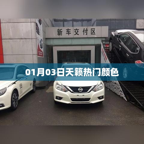 天籟熱門顏色大盤點，時尚之選，不容錯過