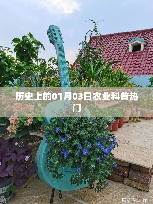 歷史上的今日，一月三日農(nóng)業(yè)科普知識(shí)熱點(diǎn)