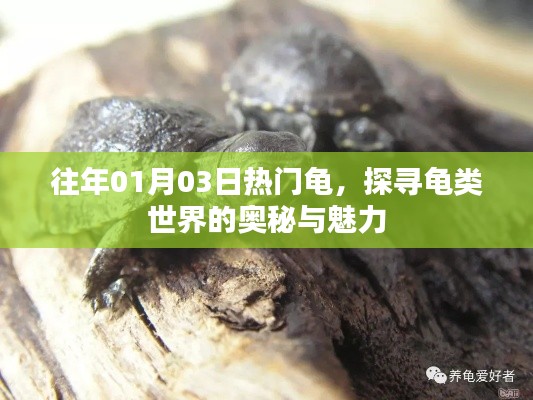 千里迢迢 第4頁