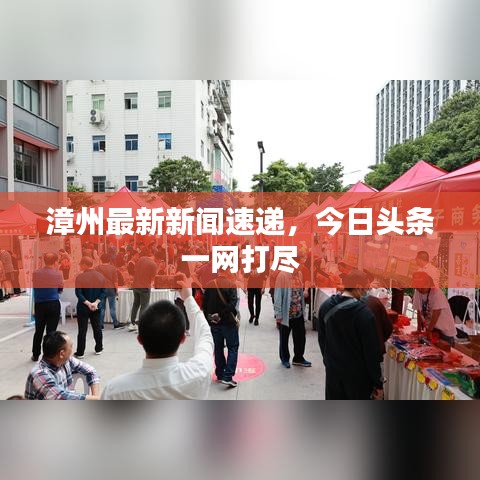 漳州最新新聞速遞，今日頭條一網(wǎng)打盡