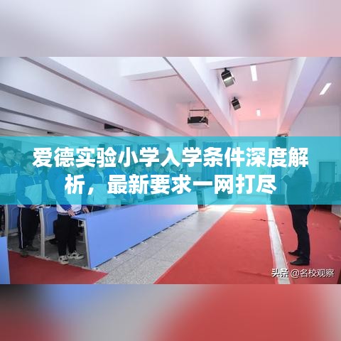 愛德實驗小學入學條件深度解析，最新要求一網(wǎng)打盡