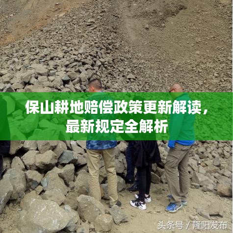 保山耕地賠償政策更新解讀，最新規(guī)定全解析