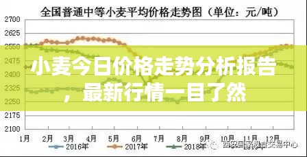 小麥今日價(jià)格走勢(shì)分析報(bào)告，最新行情一目了然