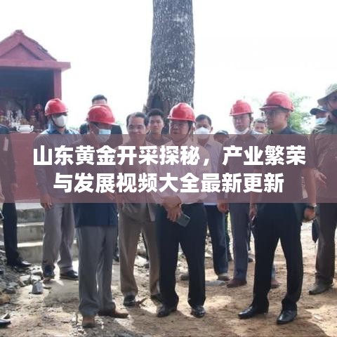 山東黃金開采探秘，產(chǎn)業(yè)繁榮與發(fā)展視頻大全最新更新