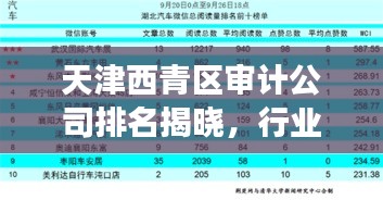 天津西青區(qū)審計(jì)公司排名揭曉，行業(yè)影響力榜單重磅出爐！