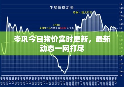 岑鞏今日豬價(jià)實(shí)時(shí)更新，最新動(dòng)態(tài)一網(wǎng)打盡