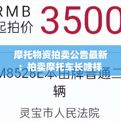 摩托物資拍賣公告最新：拍賣摩托車長啥樣 