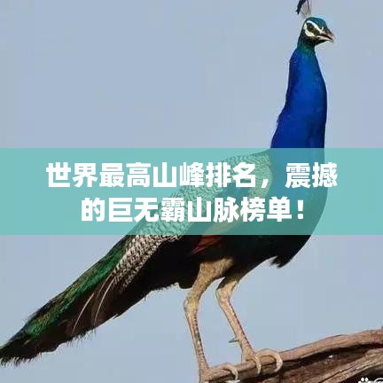 飛箭如蝗 第3頁