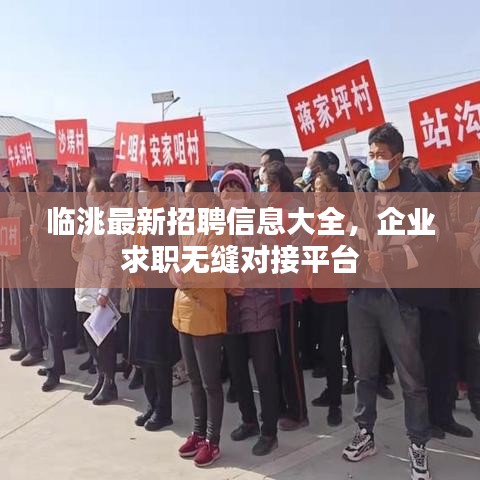 臨洮最新招聘信息大全，企業(yè)求職無縫對接平臺