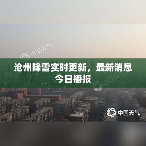 滄州降雪實時更新，最新消息今日播報