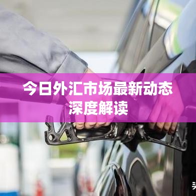 飛來飛去 第4頁