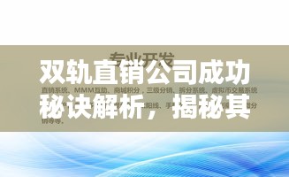 雙軌直銷公司成功秘訣解析，揭秘其排名背后的秘訣
