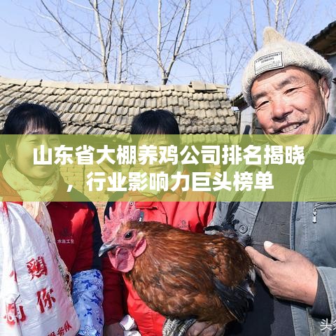 山東省大棚養(yǎng)雞公司排名揭曉，行業(yè)影響力巨頭榜單