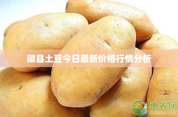 料事如神 第4頁(yè)