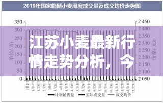 展翅欲飛 第4頁