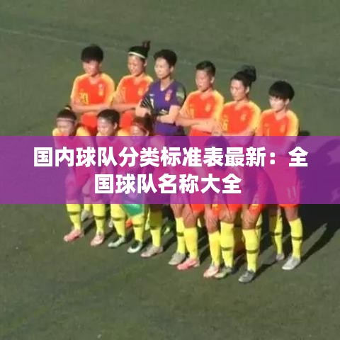 國內(nèi)球隊分類標準表最新：全國球隊名稱大全 