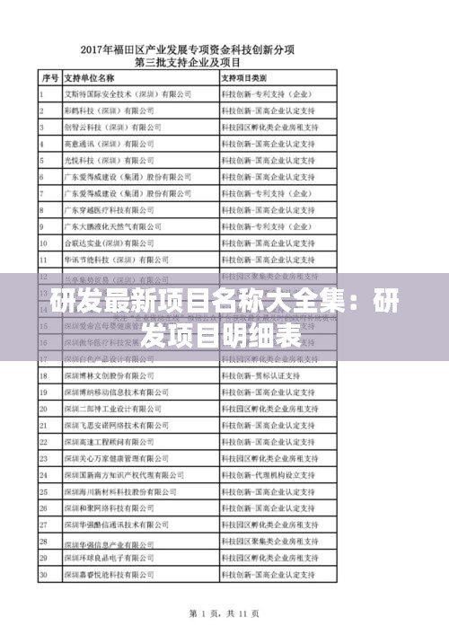 研發(fā)最新項(xiàng)目名稱大全集：研發(fā)項(xiàng)目明細(xì)表 
