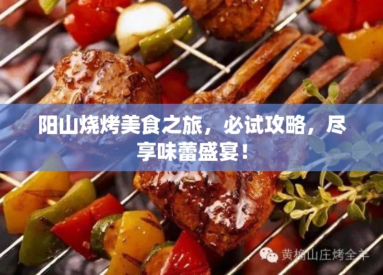 陽(yáng)山燒烤美食之旅，必試攻略，盡享味蕾盛宴！