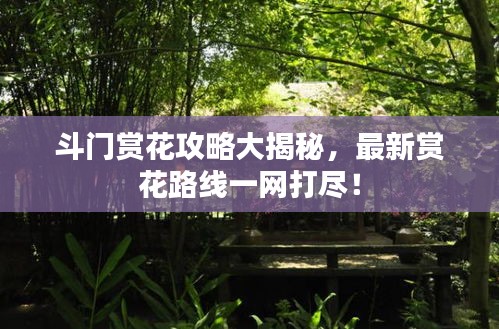 斗門賞花攻略大揭秘，最新賞花路線一網(wǎng)打盡！