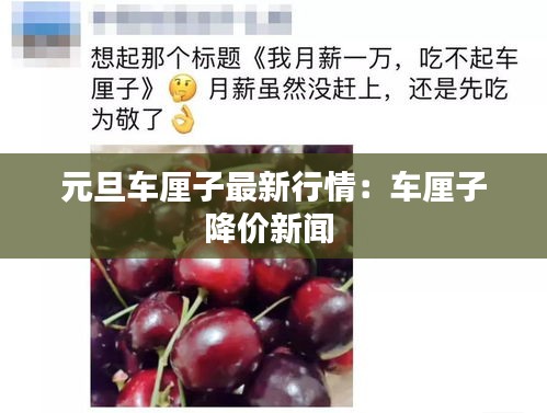 元旦車?yán)遄幼钚滦星椋很嚴(yán)遄咏祪r新聞 