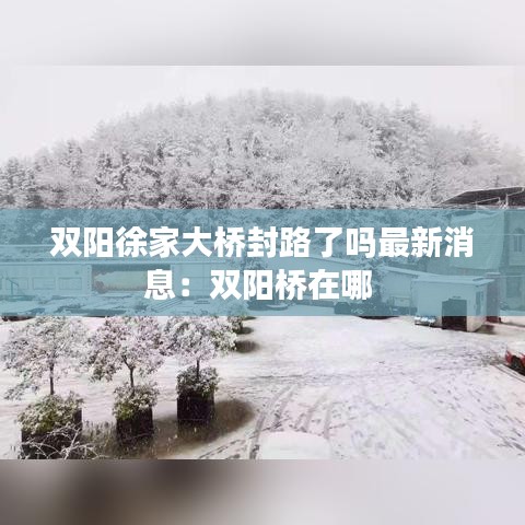 雙陽徐家大橋封路了嗎最新消息：雙陽橋在哪 