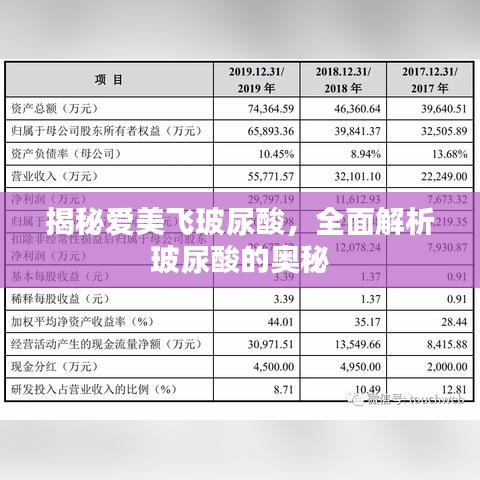 揭秘愛美飛玻尿酸，全面解析玻尿酸的奧秘
