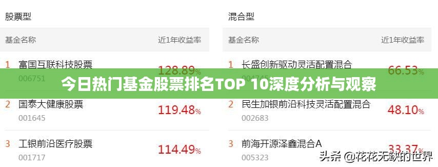 今日熱門基金股票排名TOP 10深度分析與觀察