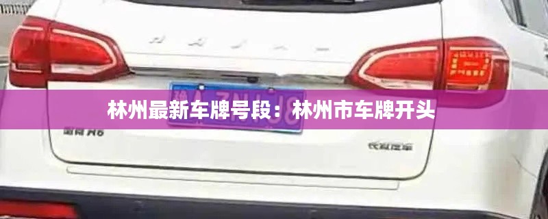 林州最新車牌號段：林州市車牌開頭 